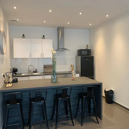 Διαμέρισμα Belle Maison Neuve, Parking Et Terrasse Privee