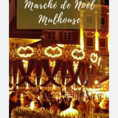 Belle Maison Neuve, Parking Et Terrasse Privee Illzach