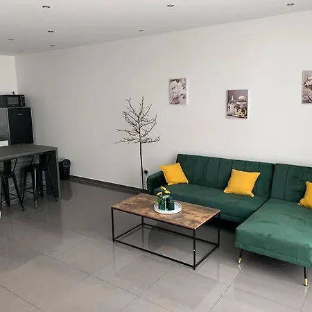 Belle Maison Neuve, Parking Et Terrasse Privee Διαμέρισμα *